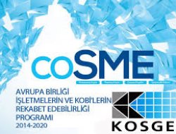 COSME Programı Çağrısı