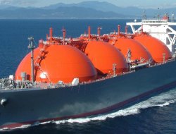 Yetki Devri- Denizyolu ile Taşınan Tehlikeli Maddelere İlişkin Mevzuat