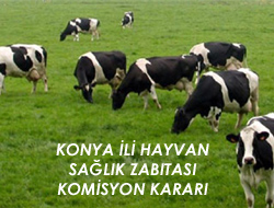 Konya İli Hayvan Sağlık Zabıtası Komisyon Kararı