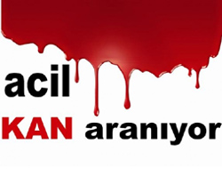 KAN ARANIYOR!