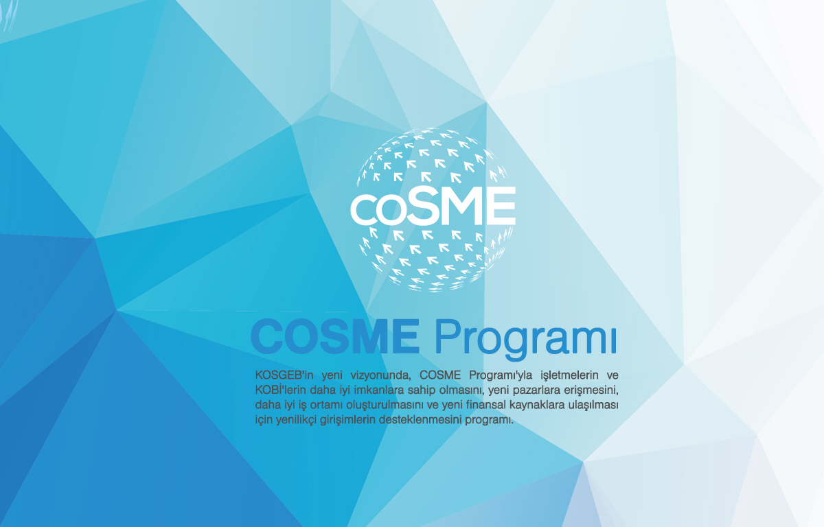 COSME - Proje Geliştirme Eğitimi ve Proje Yazma Çalıştayı