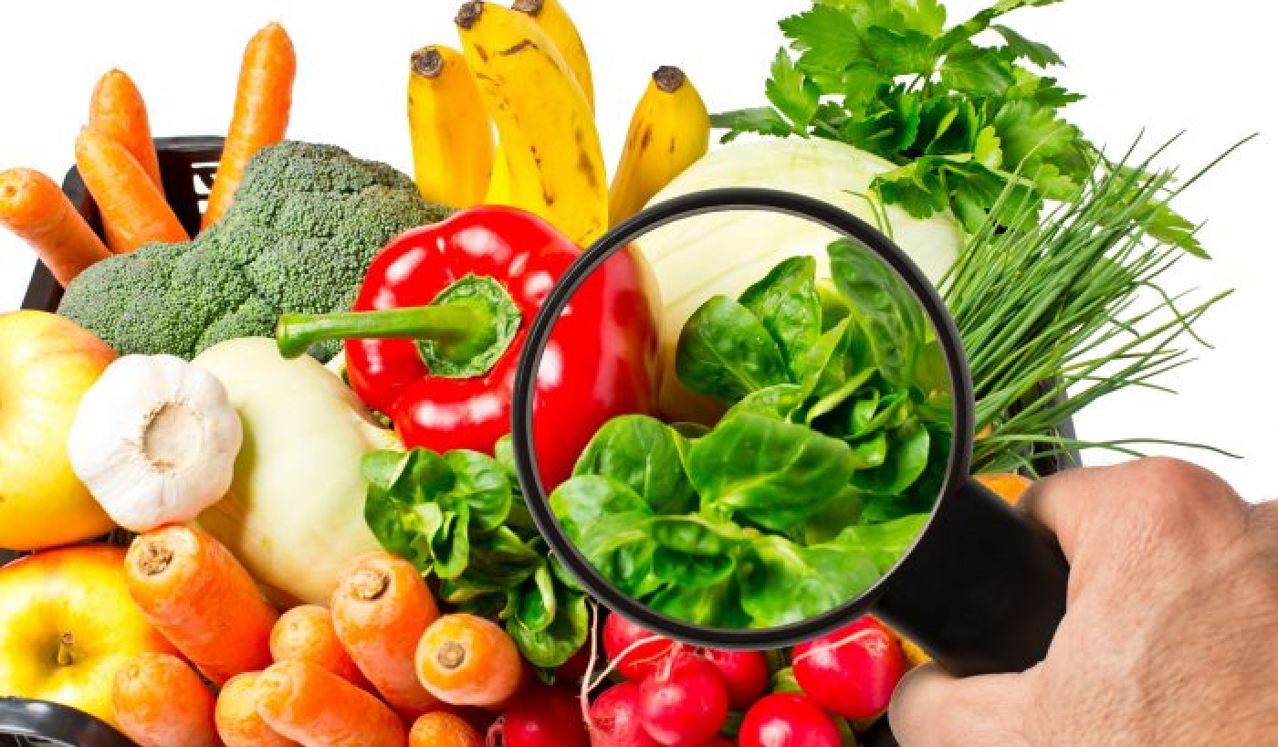 Ankara Üniversitesi Gıda Güvenliği Enstitüsü İsim ve Logosunun İzinsiz Kullanımı