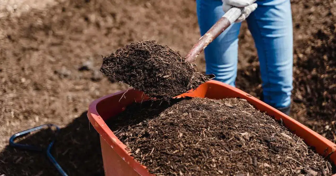 Gübre Eylem Planı