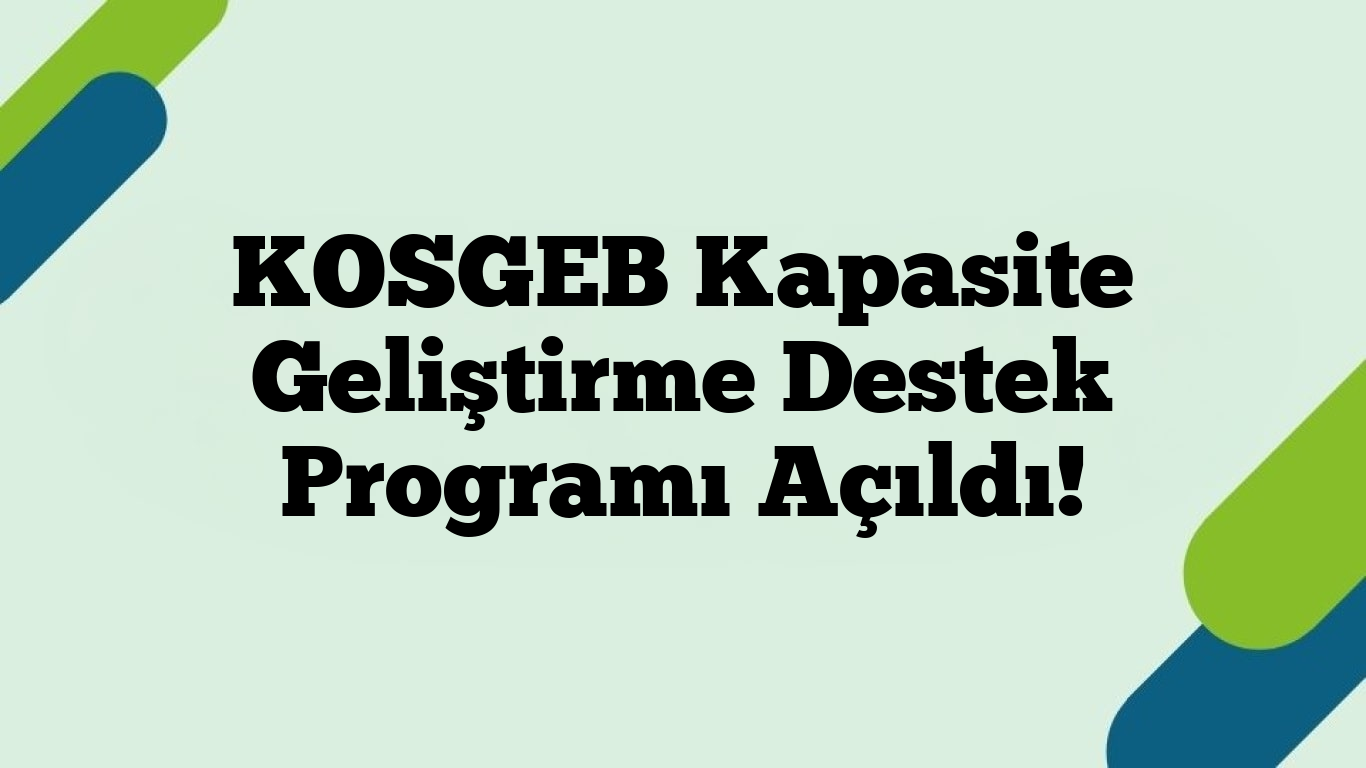 Kapasite Geliştirme Destek Programı’nın 2026 Yılı 1. Başvuru Dönemi Başladı