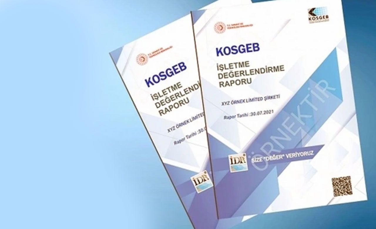 2020-2024 Dönemi Verilerini İçeren KOSGEB İşletme Değerlendirme Raporu (İDR)
