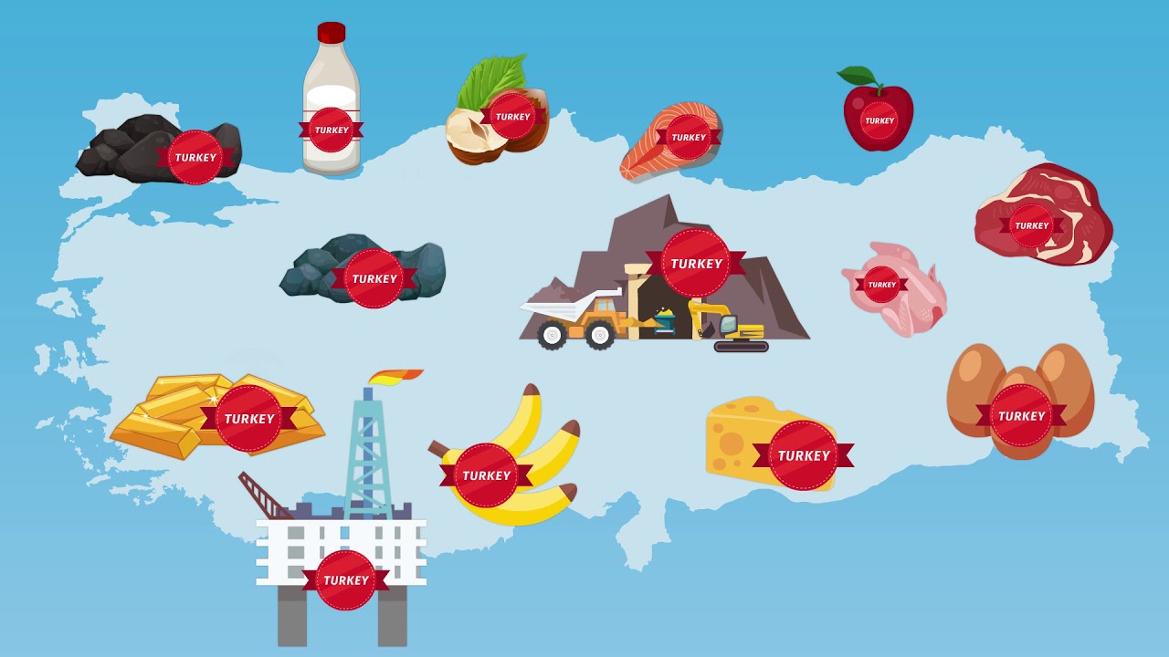 Menşe ve Dolaşım Belgeleri Kullanım Süresi