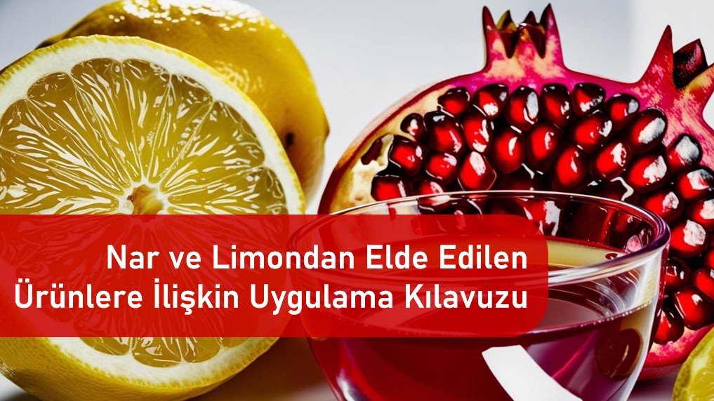 NAR VE LİMONDAN ELDE EDİLEN BAZI ÜRÜNLERE İLİŞKİN UYGULAMA KILAVUZU
